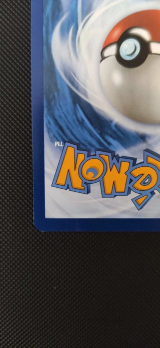 Carta Pokémon Zapdos EX 202