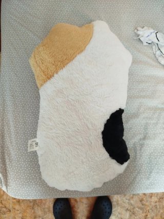 Peluche Pata de Gato