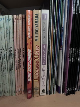 Ruin Explorers y Lodoss War - Mangas