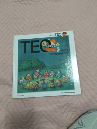 Teo se va de campamento