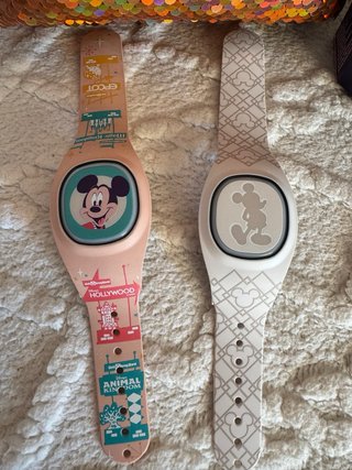 Varios Walt Disney World
