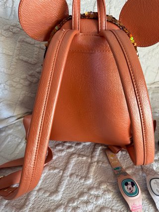 Varios Walt Disney World