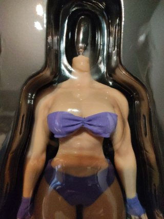 Figura Femenina 1/6 Phicen Hot Toys
