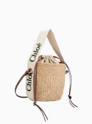 Bolso Chlo Beige y Marrón