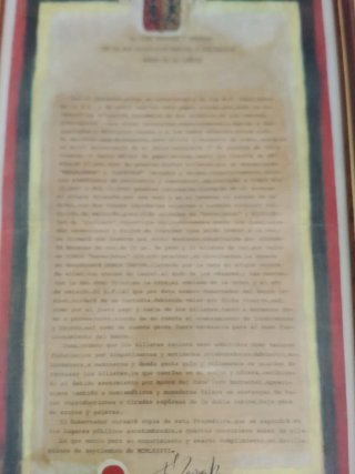 Cuadro Tema Canino Marco Marrón