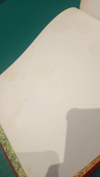 Libro el Ojo Mágico