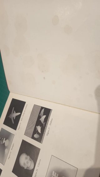 Libro el Ojo Mágico
