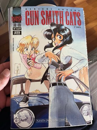Gun smith cats completa