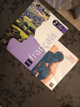 2 libros de francés 2Eso