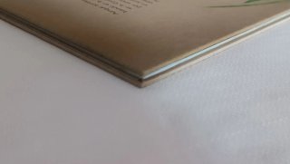 Libro El retorno de Villarina
