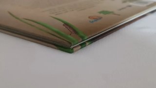 Libro El retorno de Villarina