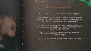 Libro El retorno de Villarina