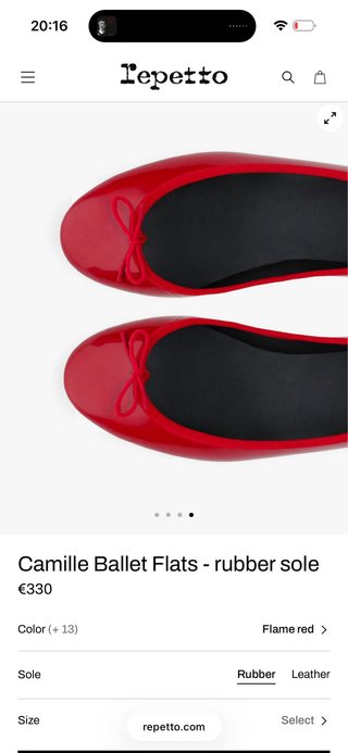 Camille Ballet de Repetto Paris