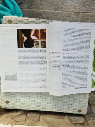 Proyecto: FanFest - Historia de la Filosofía 2 ...