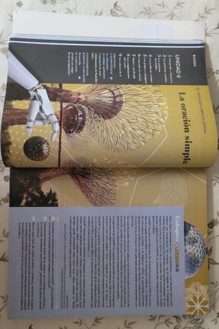 Lengua castellana y literatura II. 2 Bachillerato
