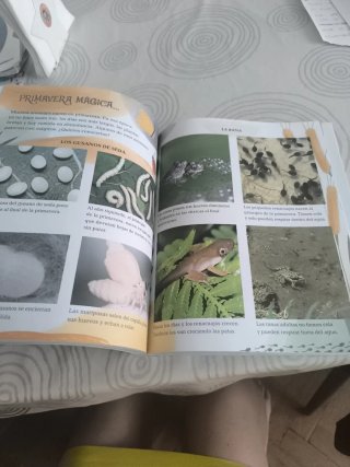 Lecturas 2, 1x8, Ocho libros en uno, Itinerario...