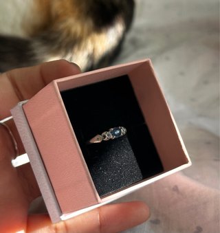 Anillo de princesa Jasmine de Aladdin Disney