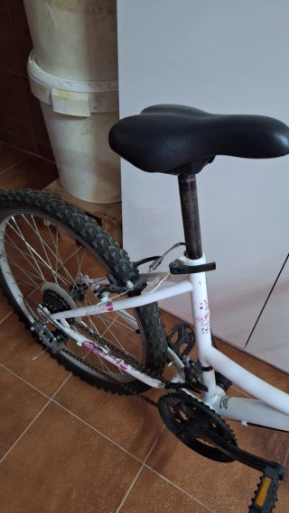 Bicicleta 26 Rosita