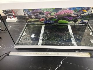 Acuario 54 L