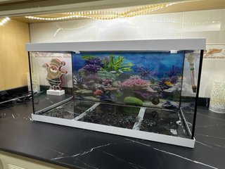 Acuario 54 L