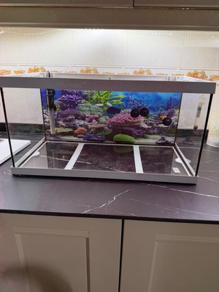 Acuario 54 L