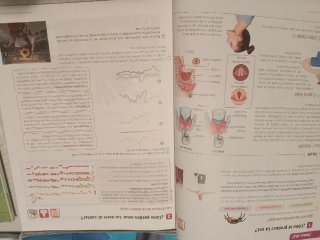 Libros 1° Secundaria