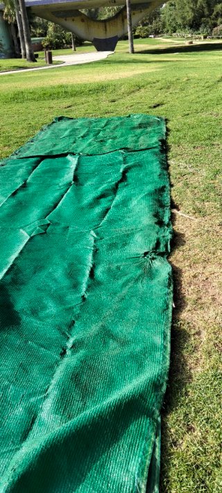 Tela de rafia verde para parcelas
