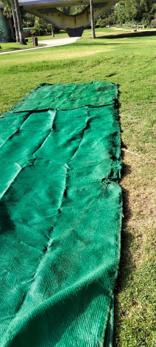 Tela de rafia verde para parcelas