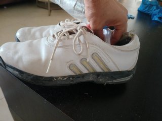 Zapatos de golf Adidas blancos
