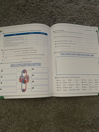 Natural Science, 5 Primary, Outside the Box, By...