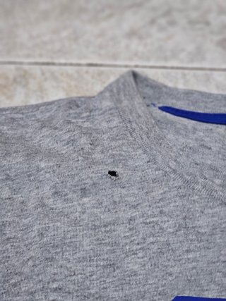 T-shirt Adidas Originals Grigio Terra Blu