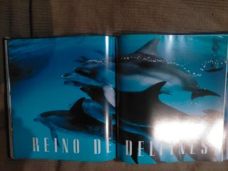 3 Tomos Cousteau + 1 Ballenas, Defines, Nat. Geo.