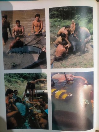 3 Tomos Cousteau + 1 Ballenas, Defines, Nat. Geo.