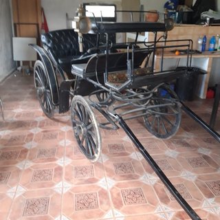 Carruaje clásico negro