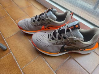 Nike Trail Running originales