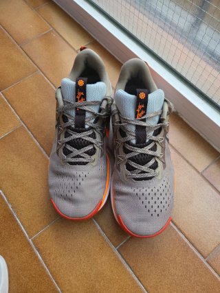 Nike Trail Running originales