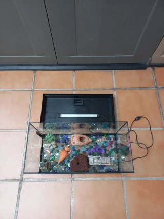 Pecera 30L con luz LED y accesorios
