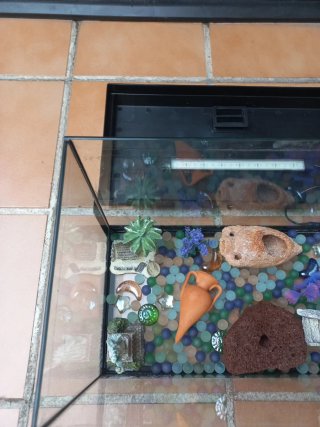 Pecera 30L con luz LED y accesorios