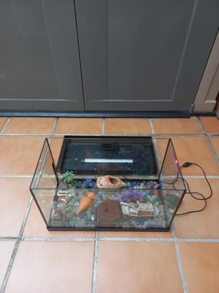 Pecera 30L con luz LED y accesorios