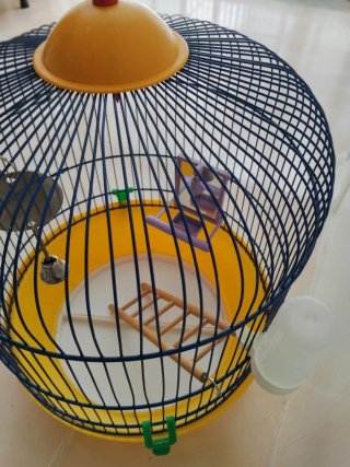 Jaula para pájaros azul y amarilla