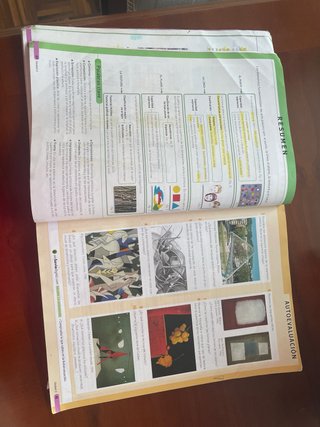 Educación plástica, visual y audiovisual 1 ESO