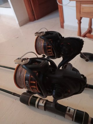 Coppia di mulinelli Daiwa BG 4000
