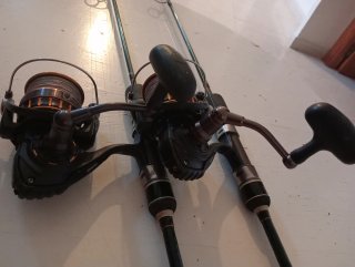 Coppia di mulinelli Daiwa BG 4000