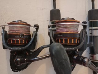 Coppia di mulinelli Daiwa BG 4000