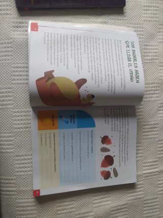 Lecturas 2, 1x8, Ocho libros en uno, Itinerario...