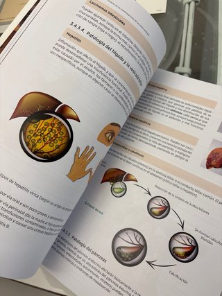 Libro Higiene Bucodental Fisiopatología. Ilerna