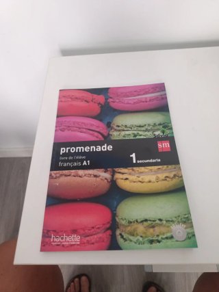 Promenade, français A1, 1 Secundaria Livre de l...