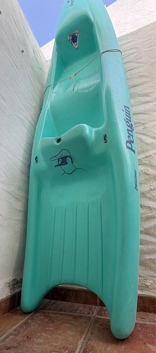 Kayak Penguin Verde. Incluye pala.