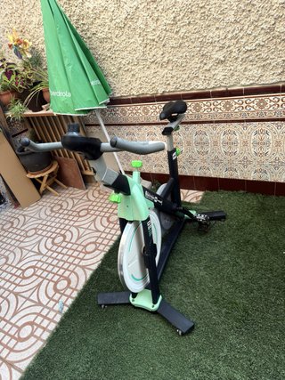 Bicicleta Spinning Bodytone DS15