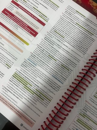 Libro resumen ascenso Sargento